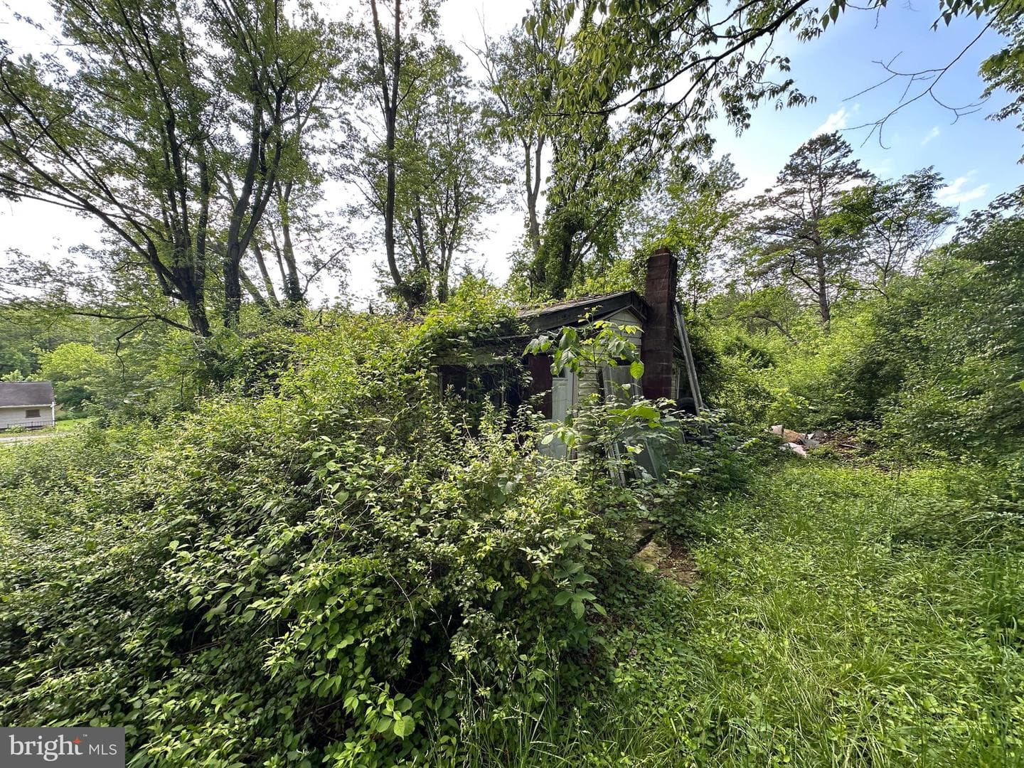 13726 Hopps Landing Rd photo 58