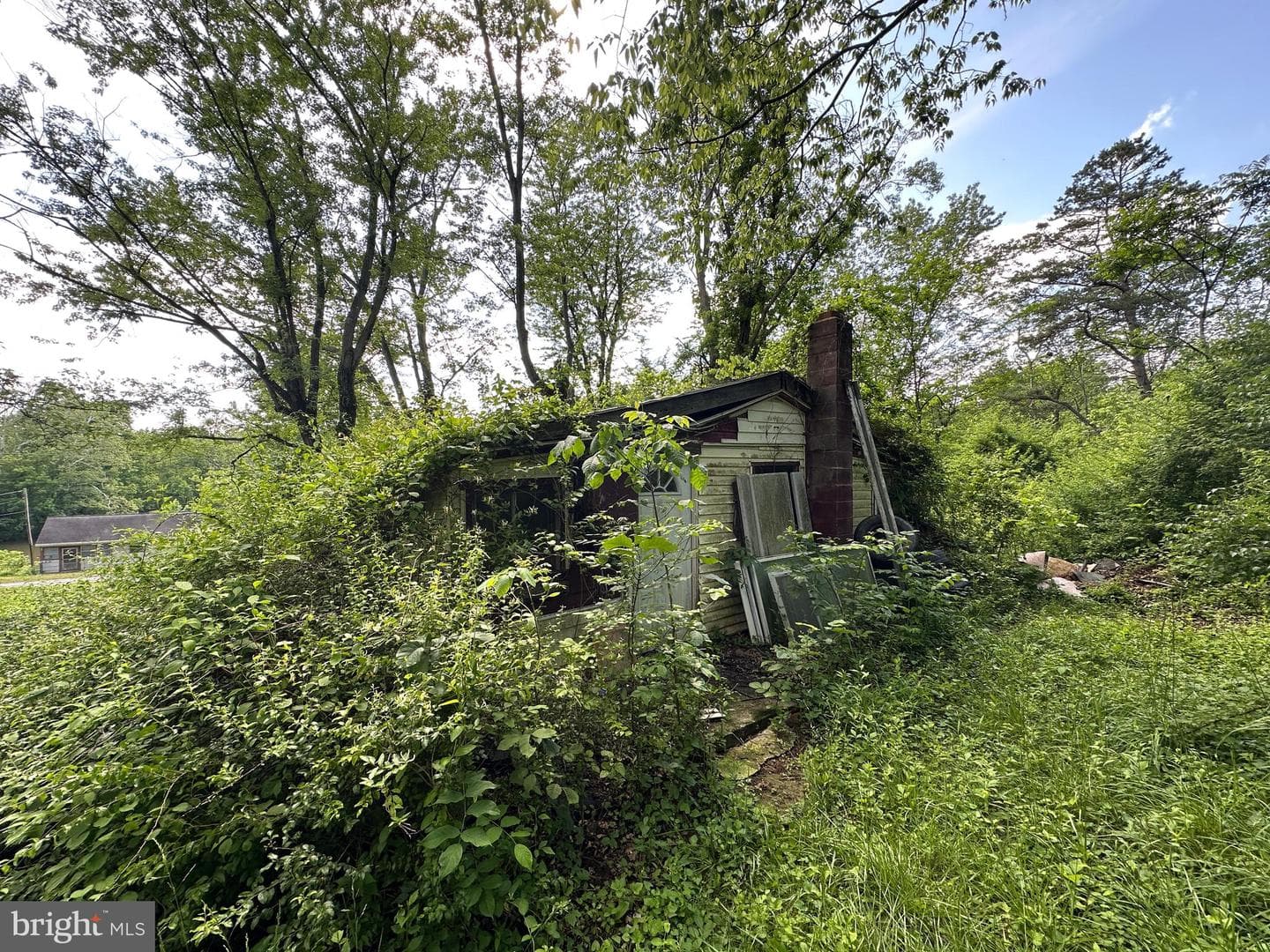 13726 Hopps Landing Rd photo 59