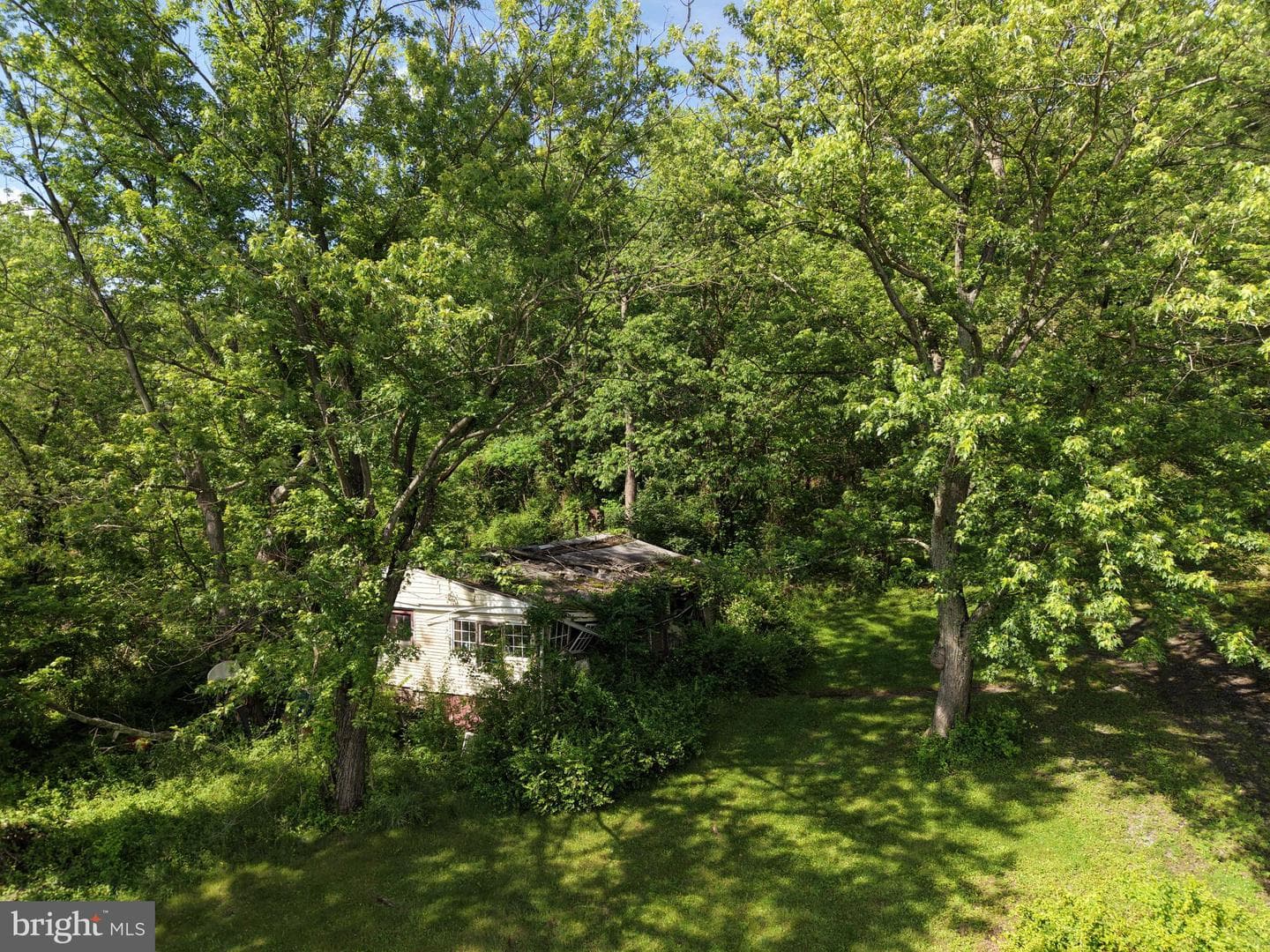 13726 Hopps Landing Rd photo 62