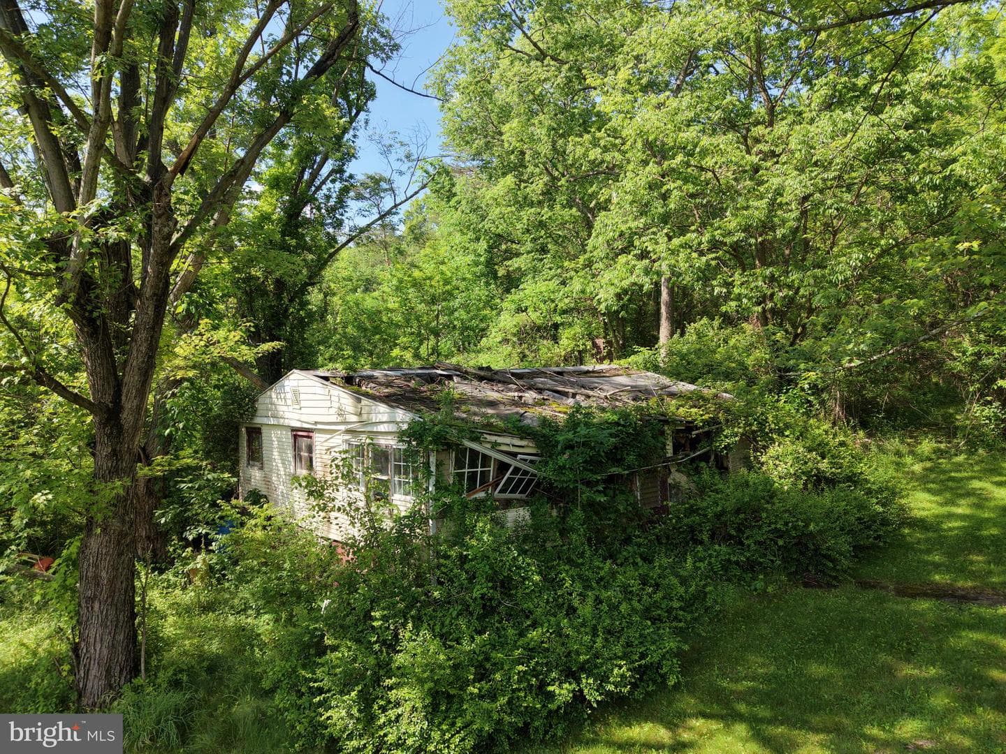 13726 Hopps Landing Rd photo 63