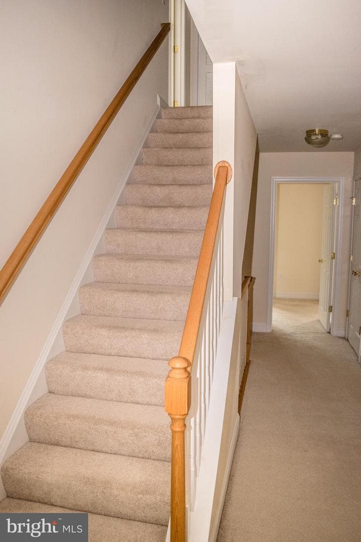 1342 The Terrace photo 25