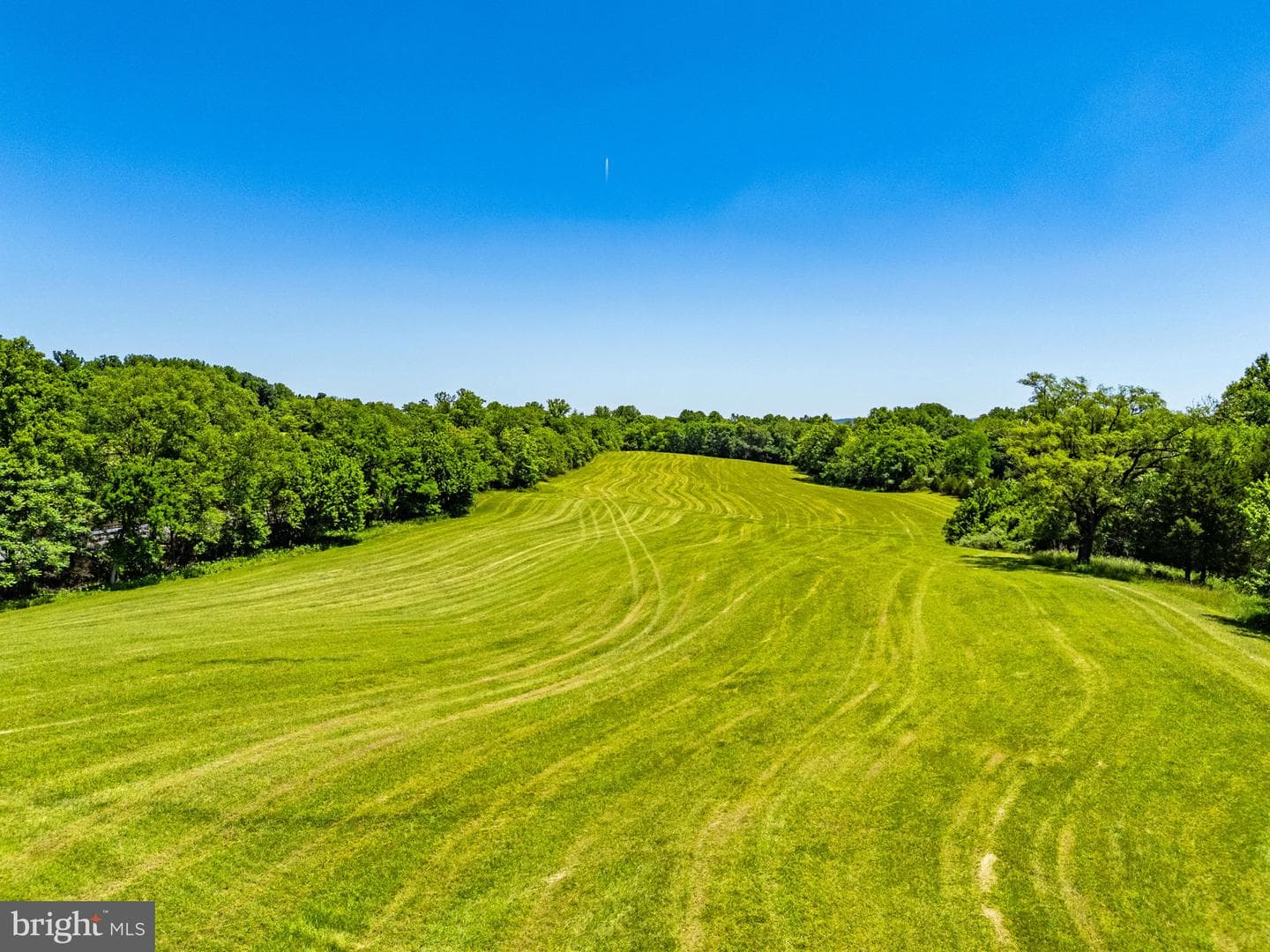 16318 Canal Road photo 24