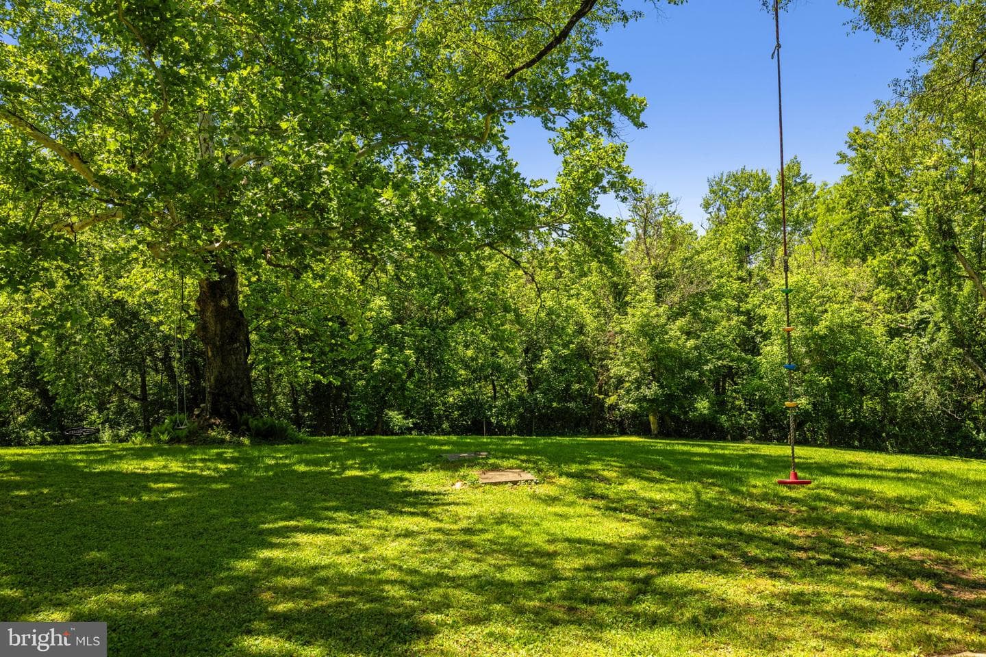 16318 Canal Road photo 53