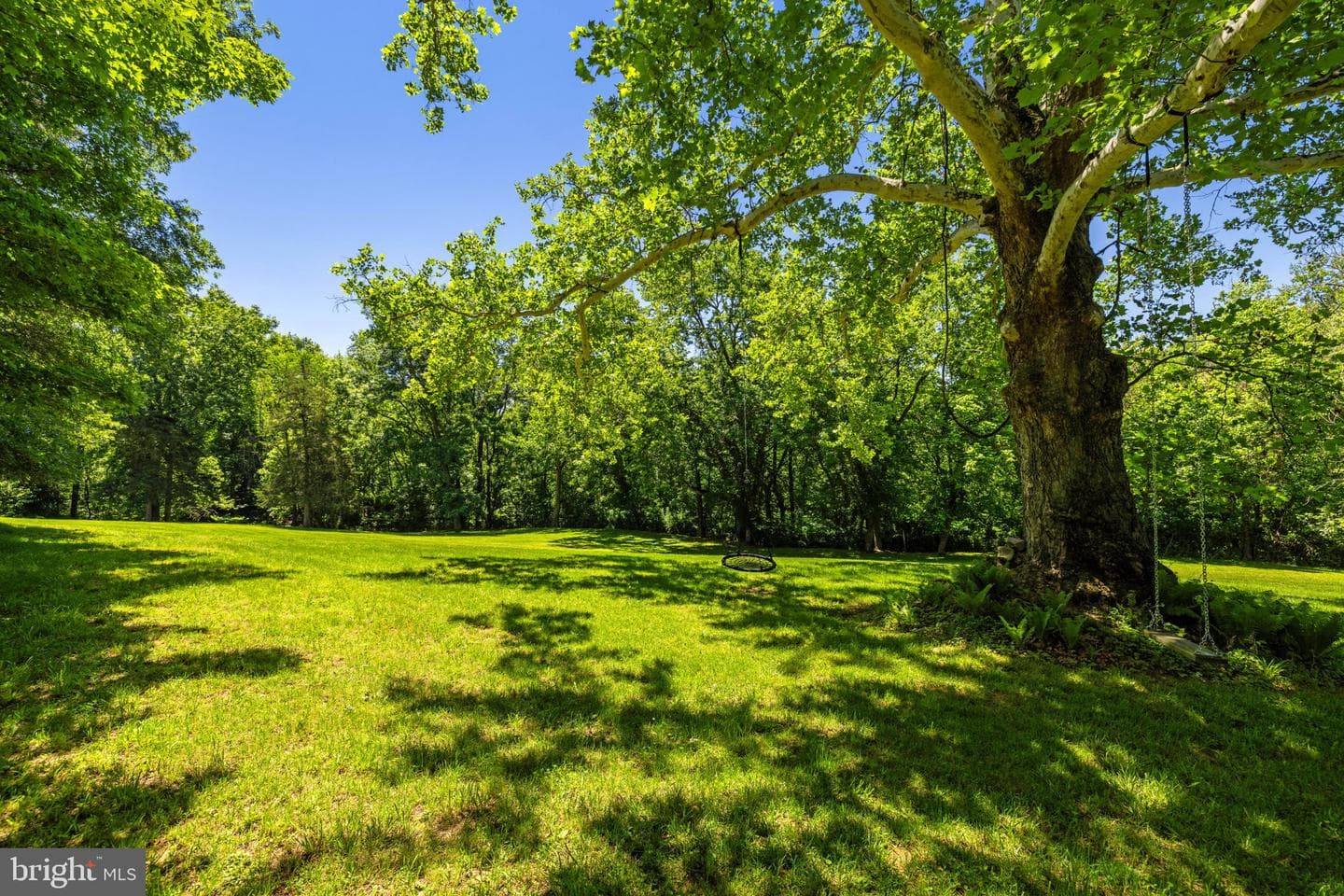 16318 Canal Road photo 54