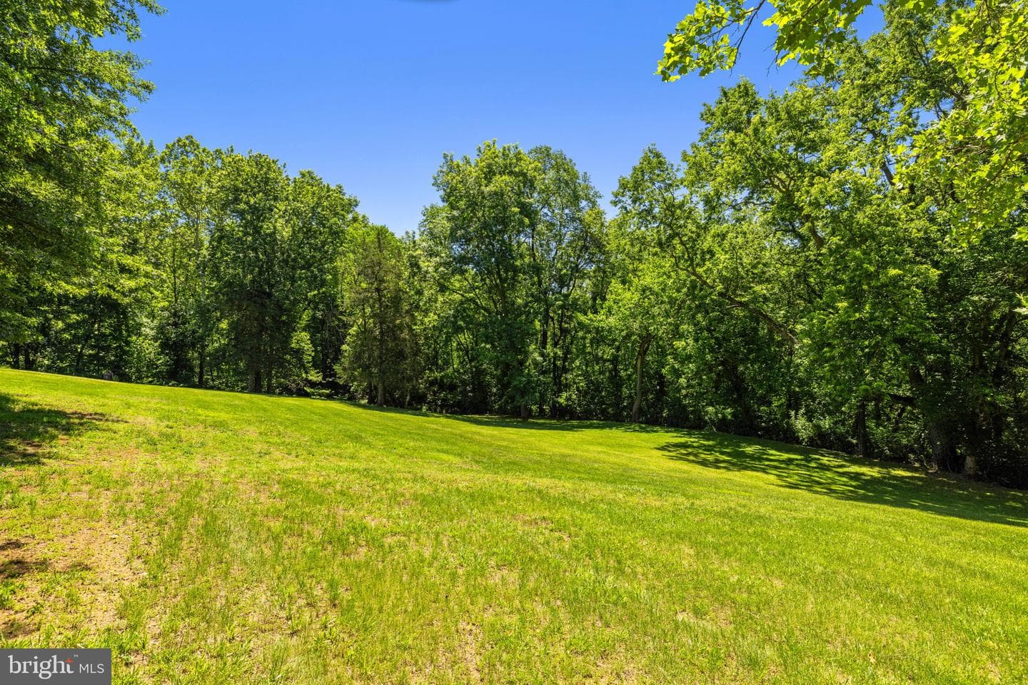 16318 Canal Road photo 55