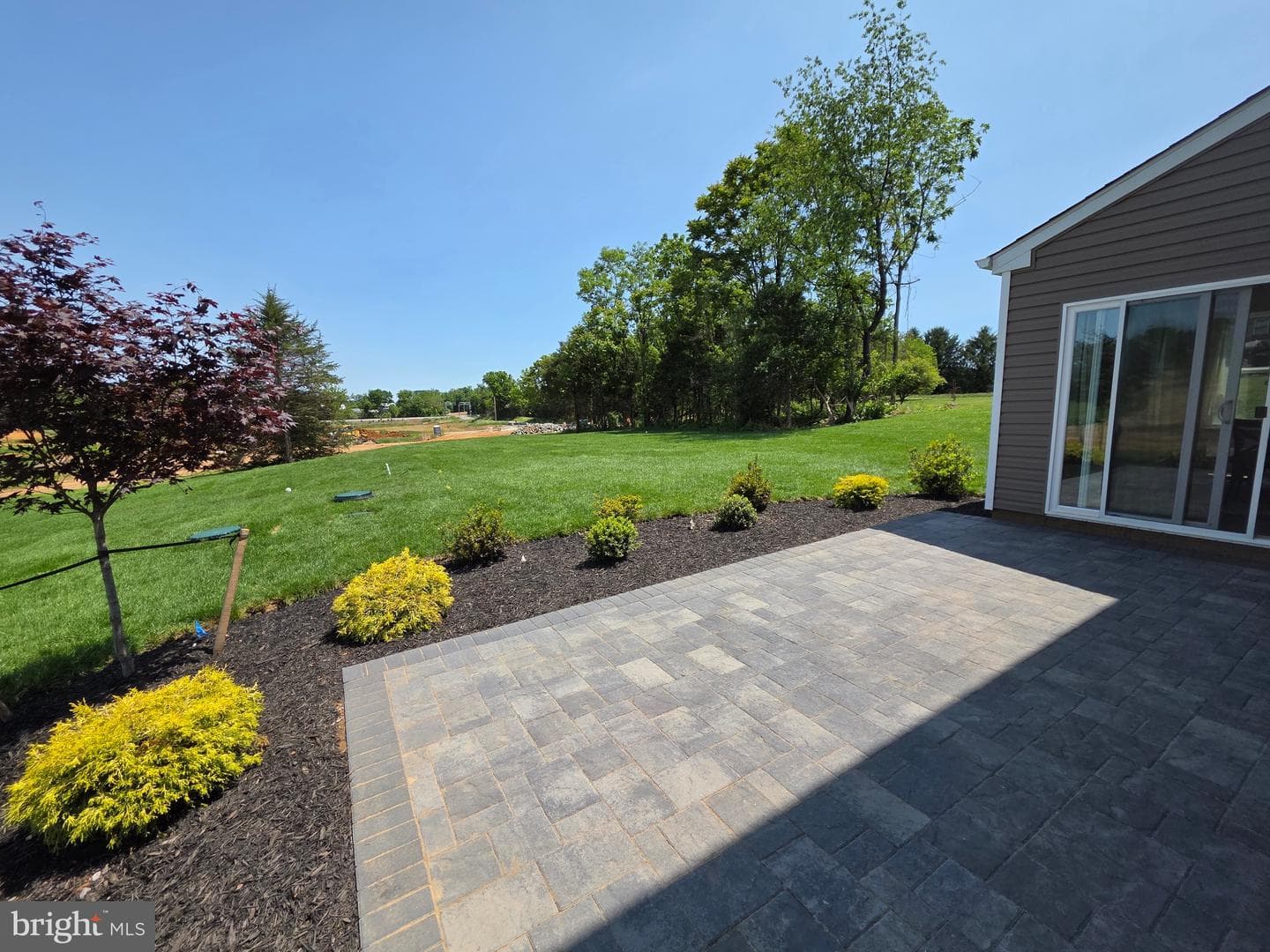 20103 Regent Circle photo 3