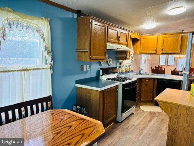 11901 Heather Drive photo 25