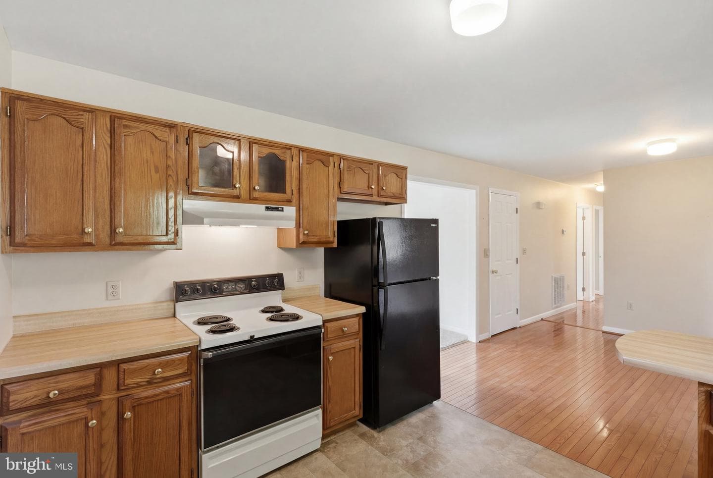 9206 Cool Hollow Terrace photo 15