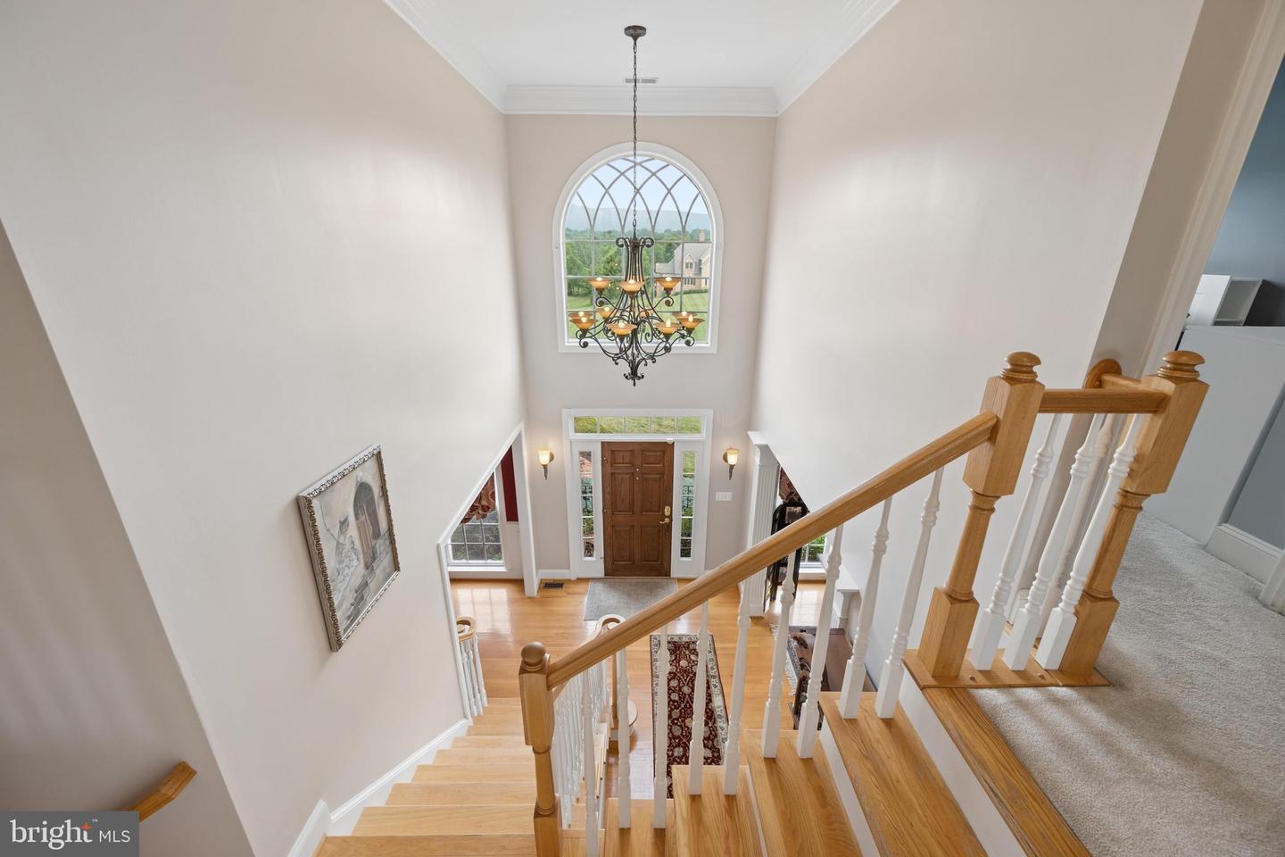 9808 Pembroke Drive photo 4