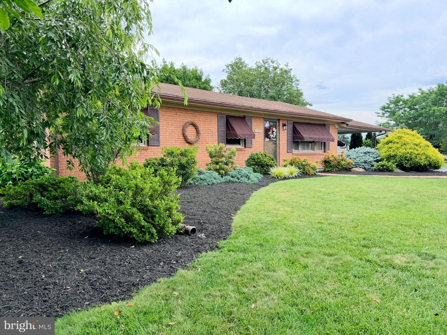 11917 Comanche Drive photo 4