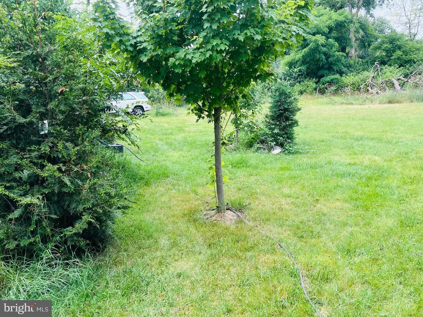 17101 Miner Avenue photo 6