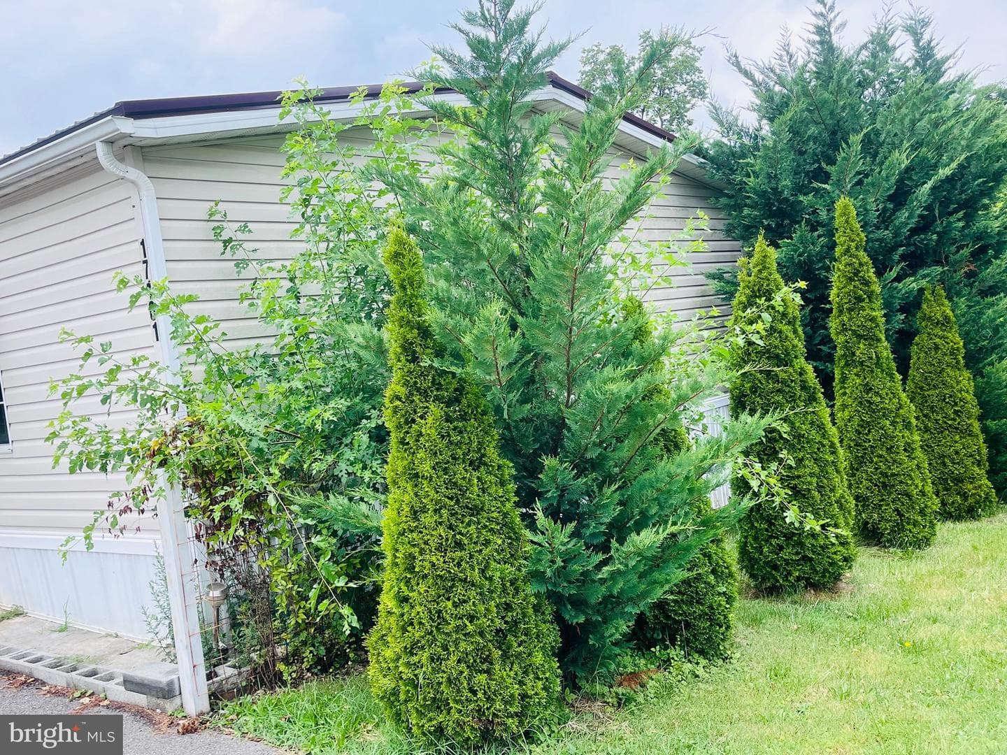 17101 Miner Avenue photo 8