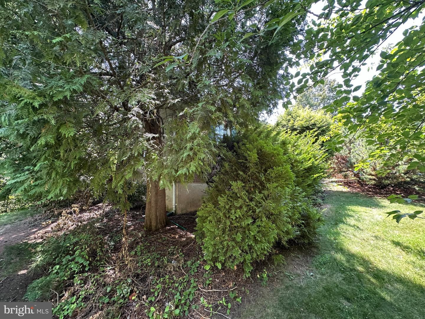 18529 Sherbrooke Drive photo 6