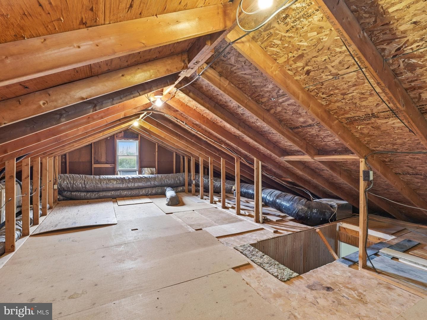 11733 Snug Harbor Lane photo 37