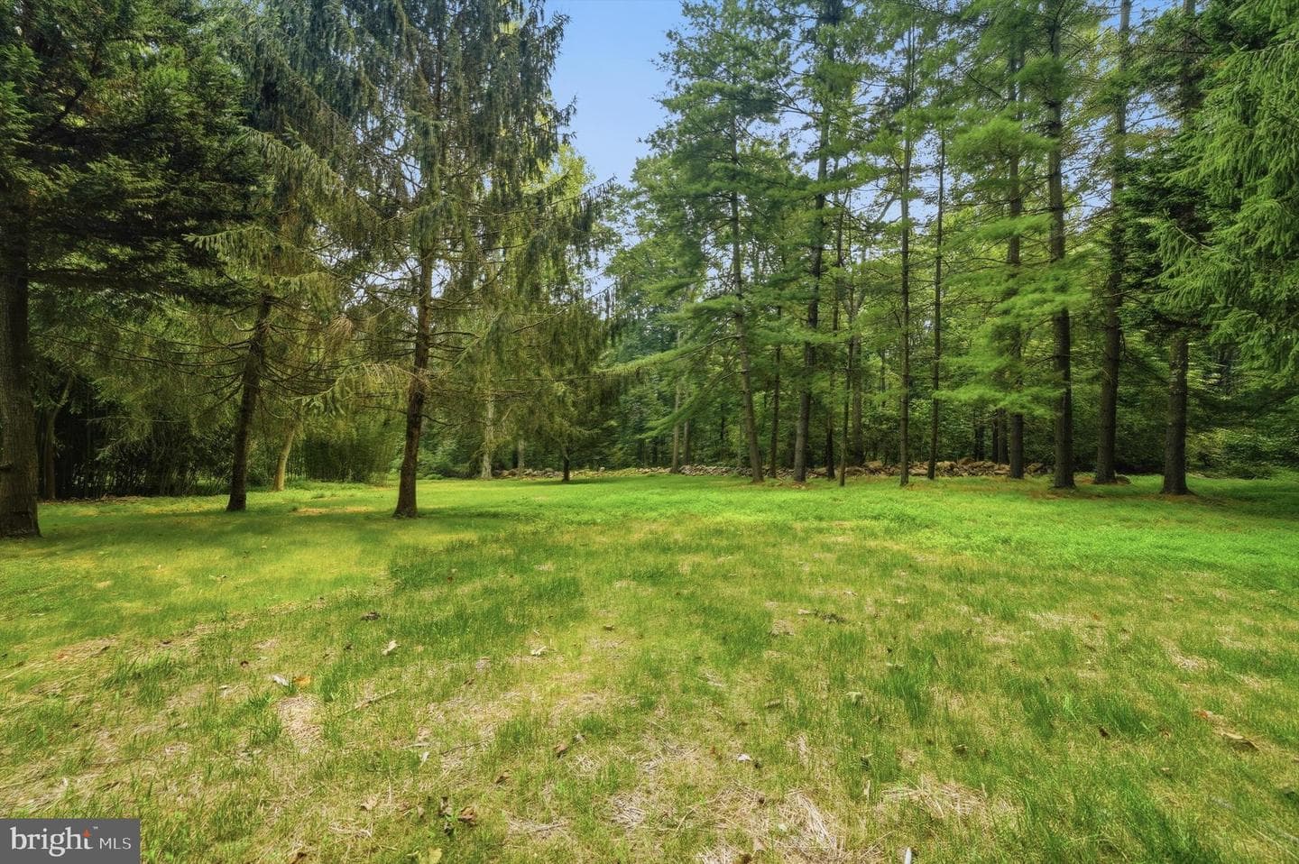 2911 Kaetzel Road photo 39