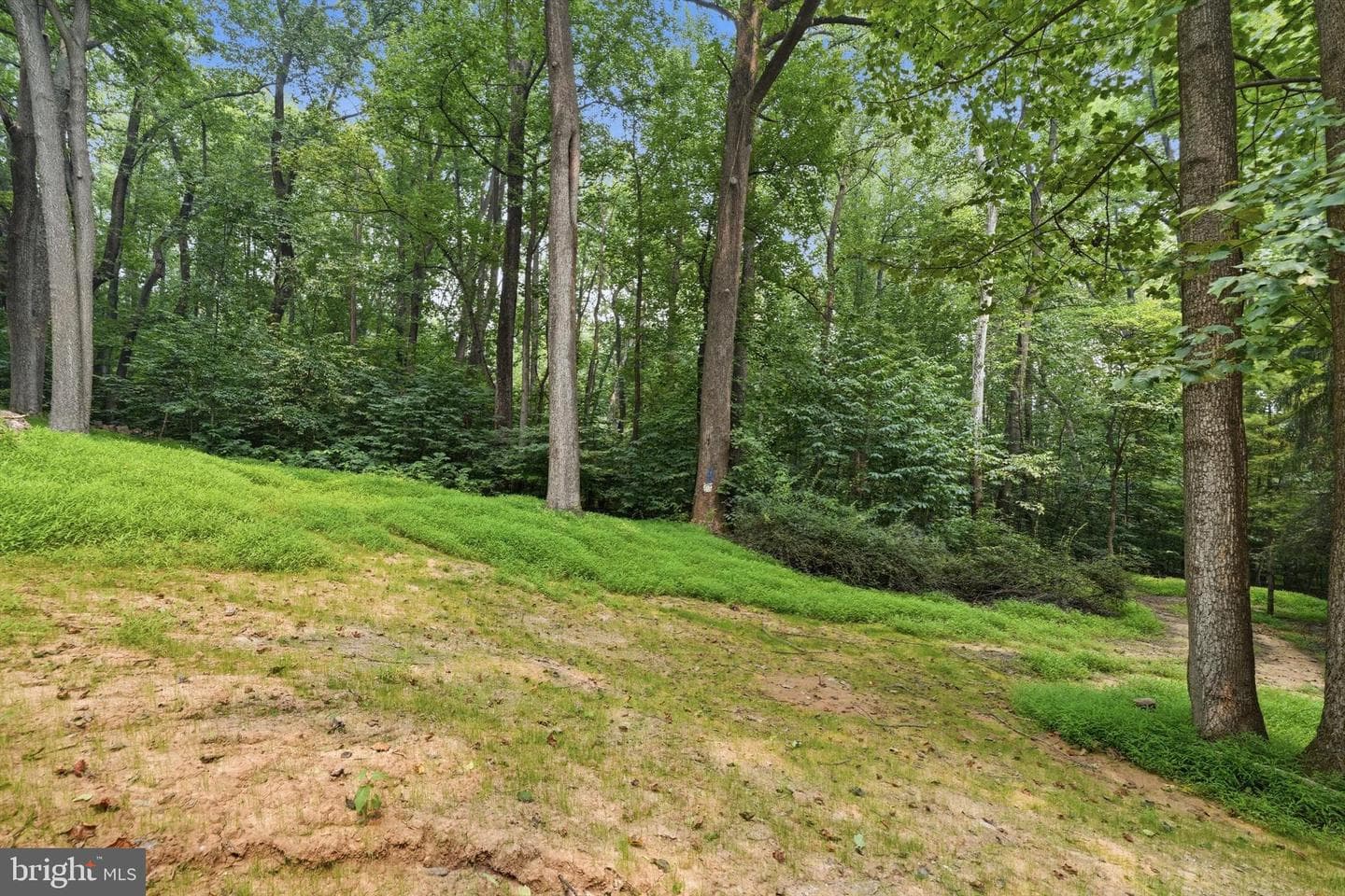 2911 Kaetzel Road photo 40