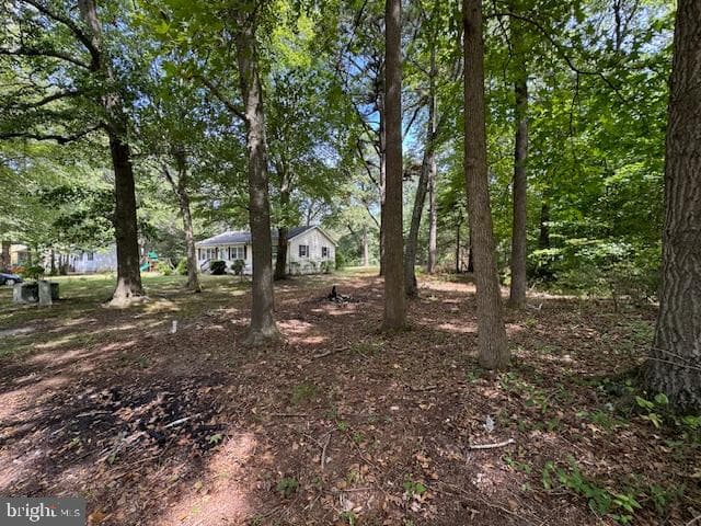 7569 Buckman Avenue photo 6