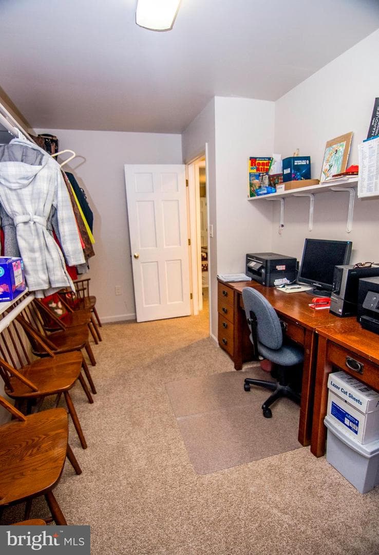 30393 Mallard Drive photo 31