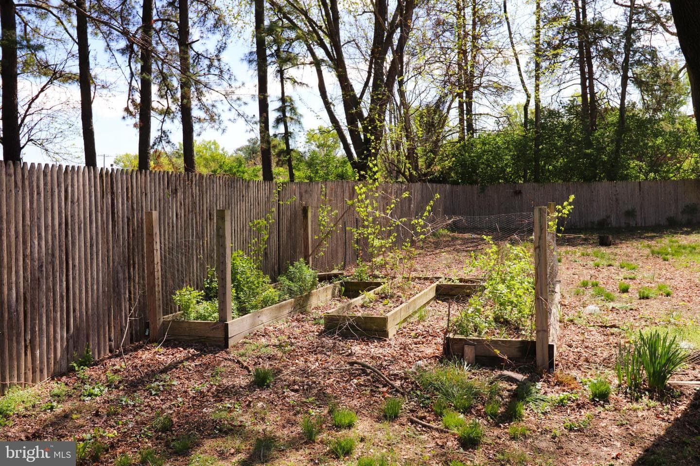 1405 Westchester Street photo 35