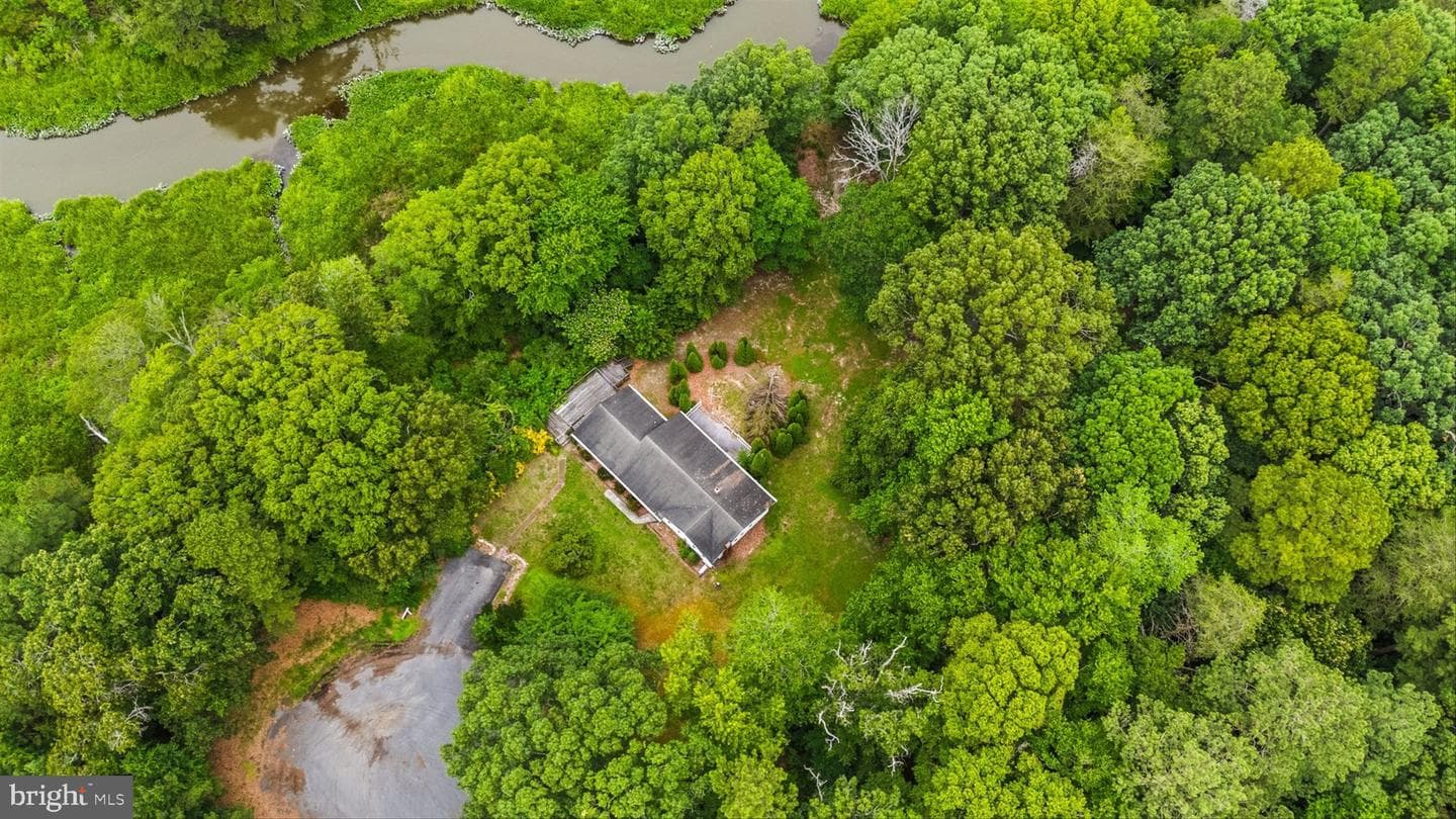 26140 High Banks Drive photo 13