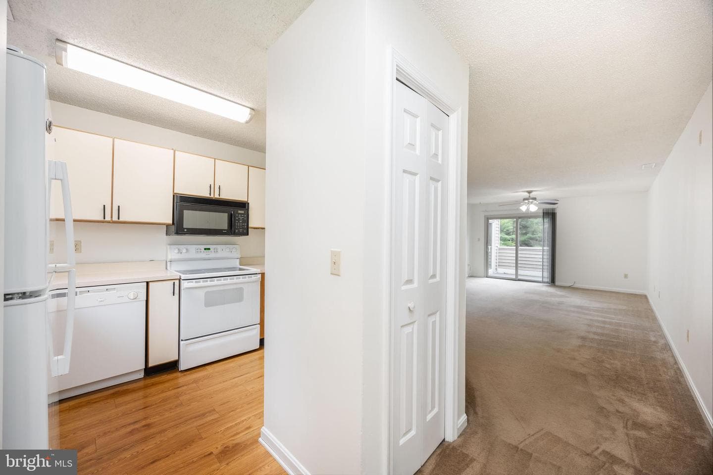 753 Canvasback Court #204 photo 4