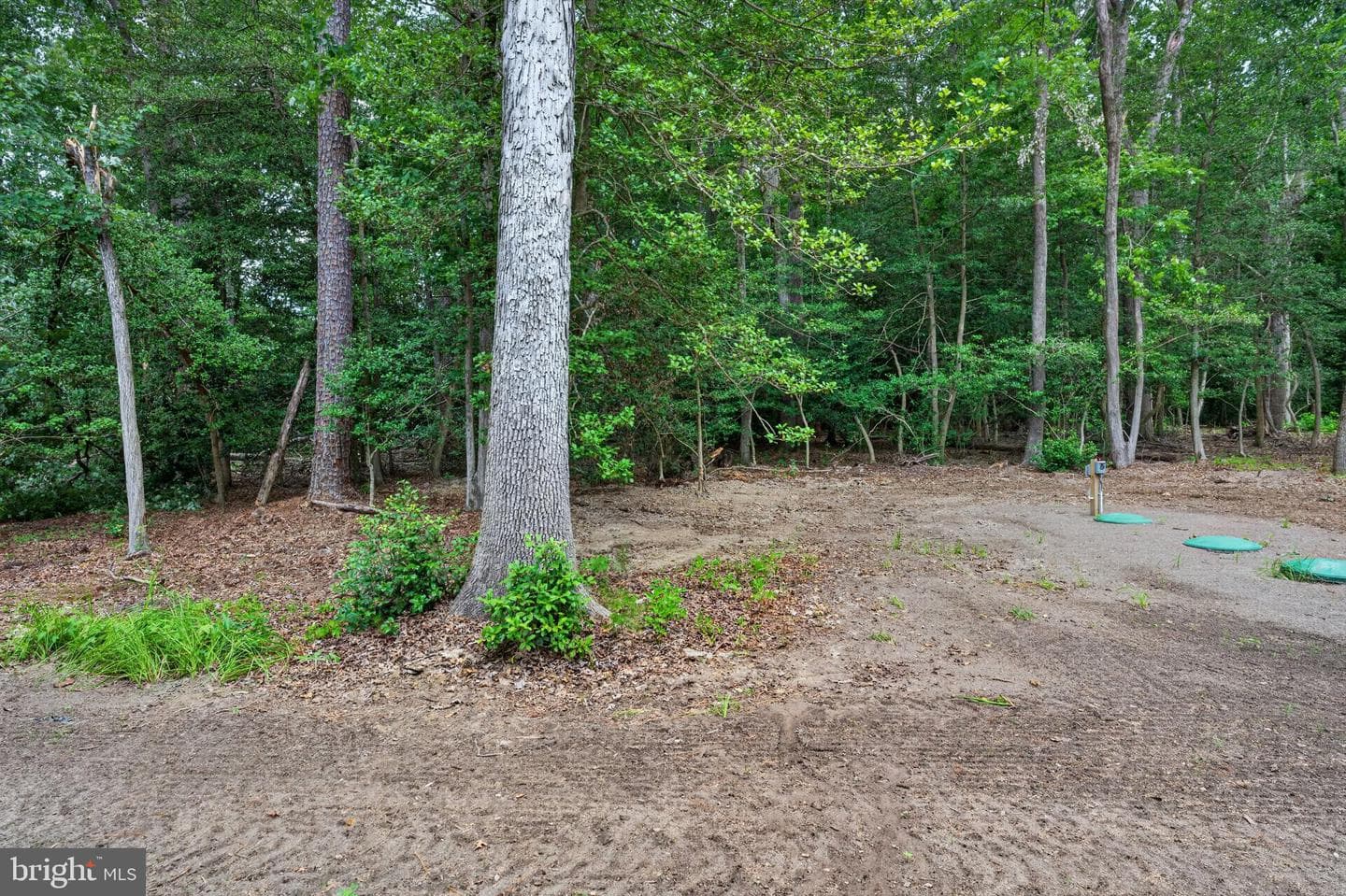 7837 Pristine Place photo 64