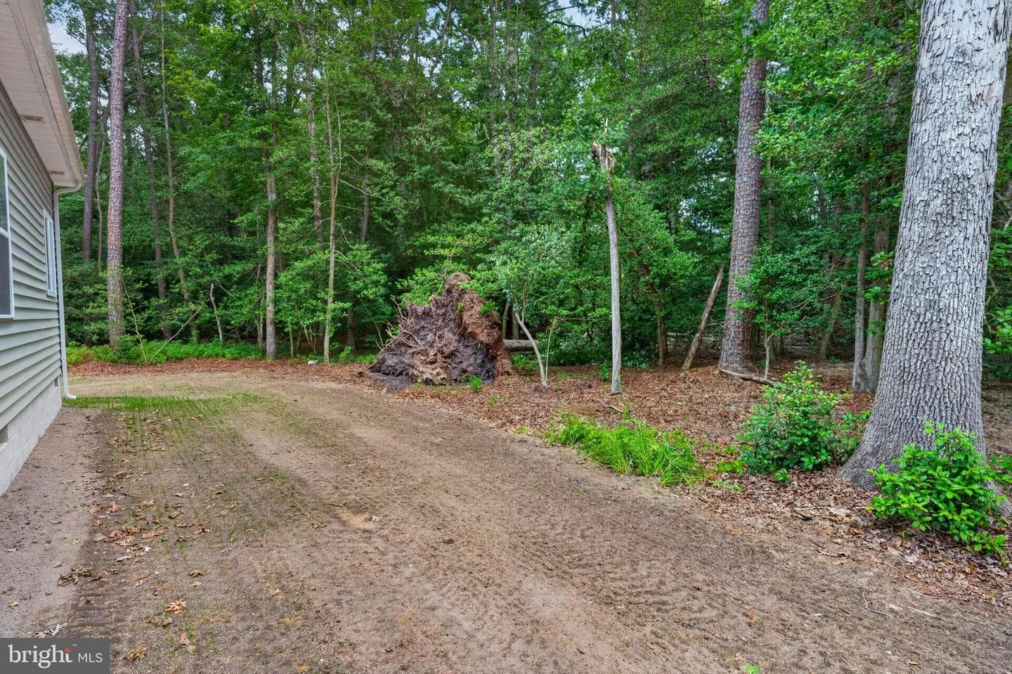7837 Pristine Place photo 69