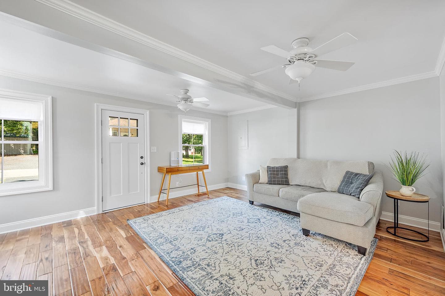 507 Ferry Street photo 8