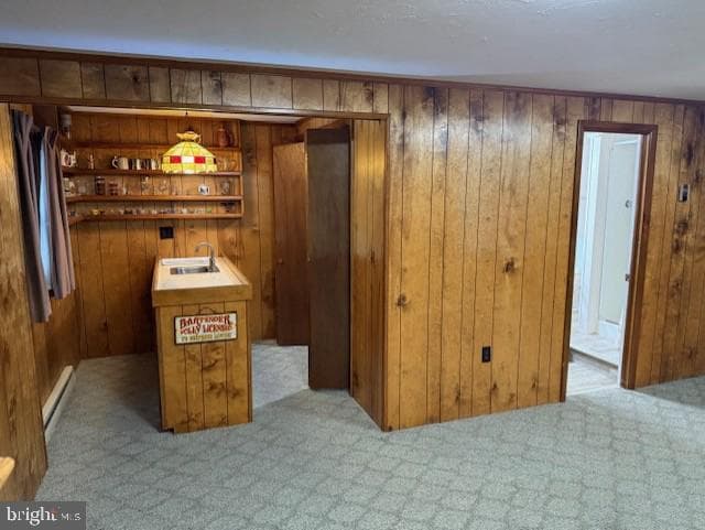 509 Regency Drive photo 21