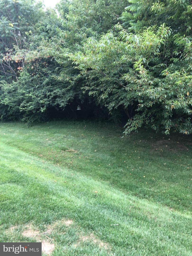 9176 Clubhouse Drive photo 12