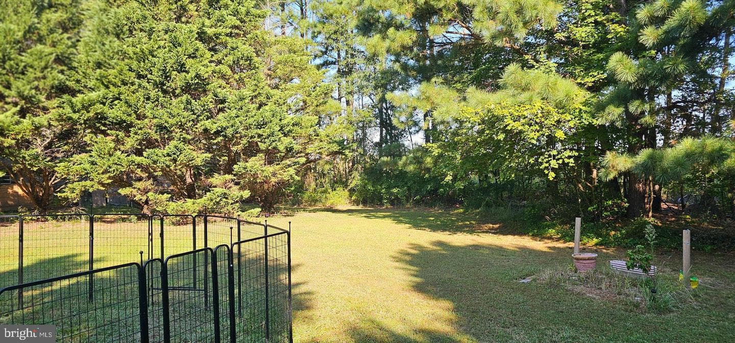 26977 Osprey Circle photo 20
