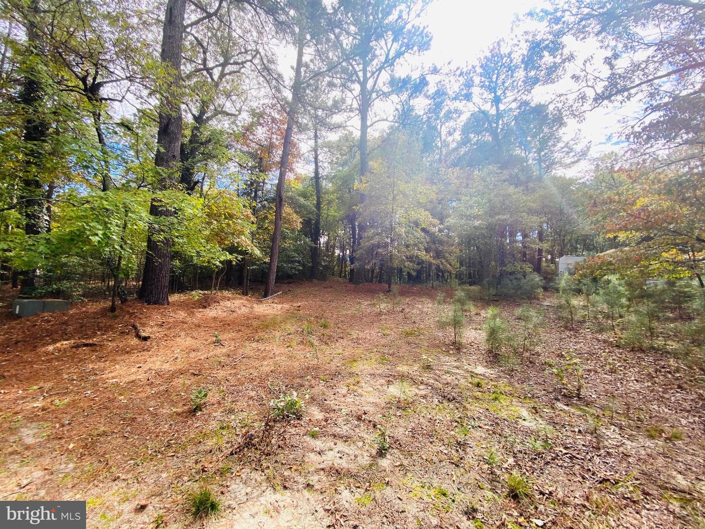8923 Star Road photo 30