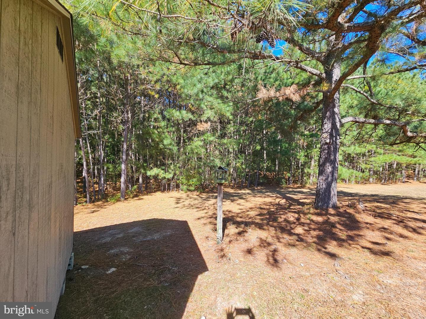 26812 Crossbill Court photo 40