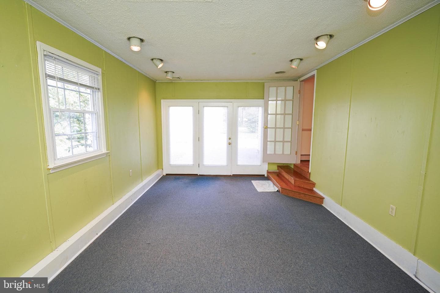 707 Camellia Road photo 28