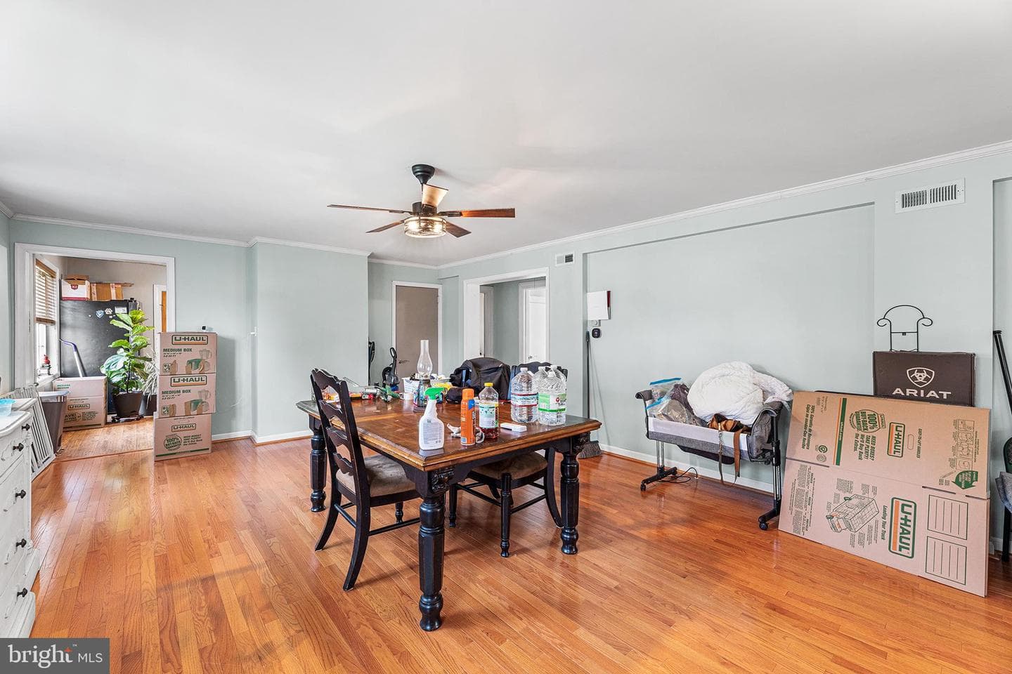 1402 Sandy Acres Drive photo 7