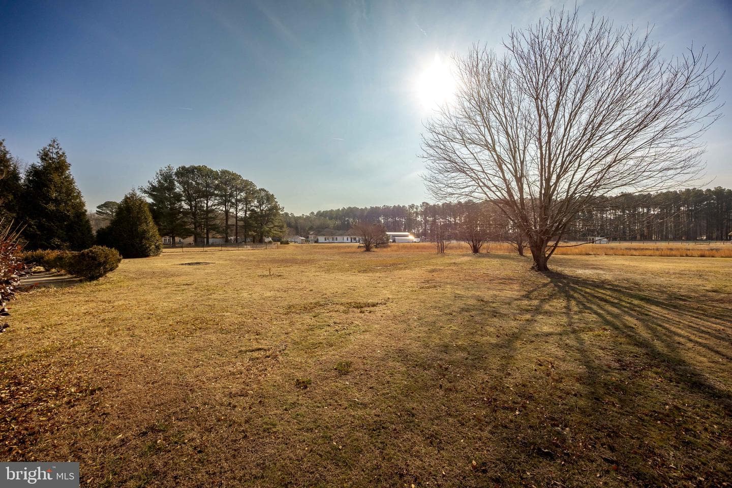 1622 Crawford Drive photo 80