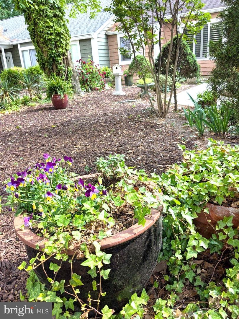 1026 Heron Court photo 4