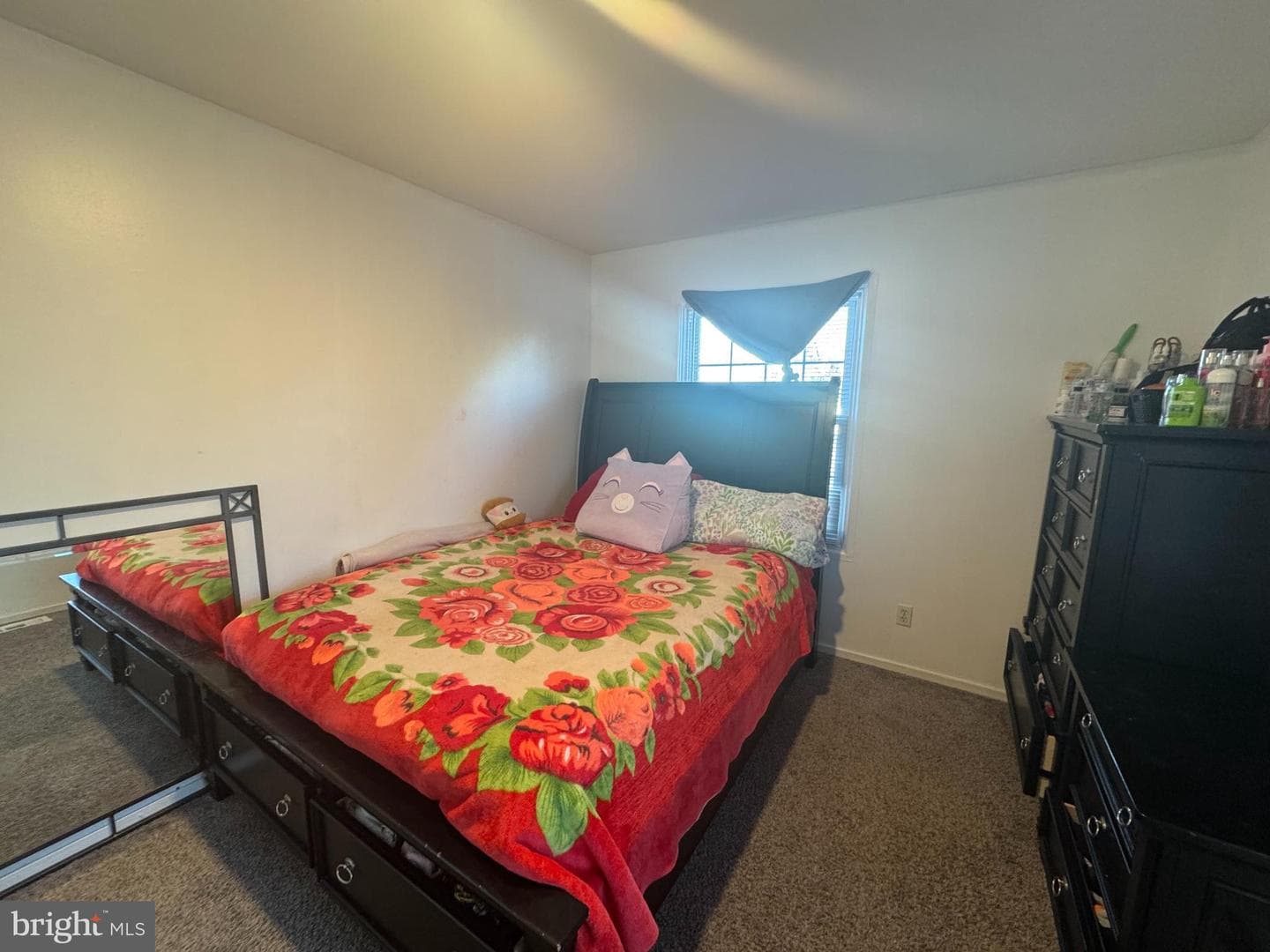 138 Coulbourn Drive photo 19