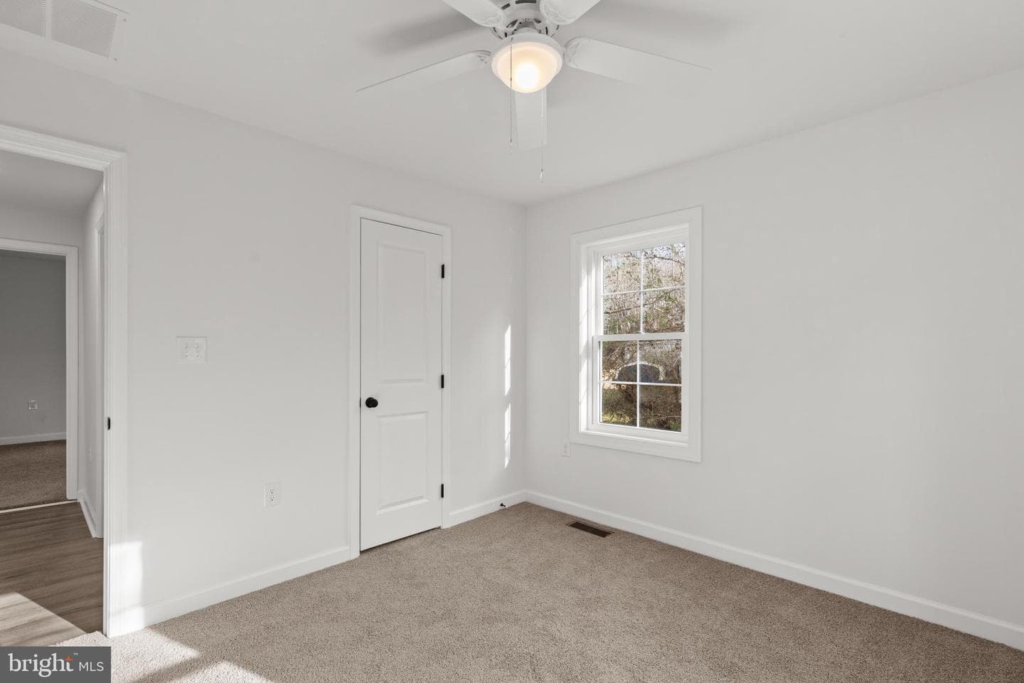 22202 Wetipquin Road photo 33