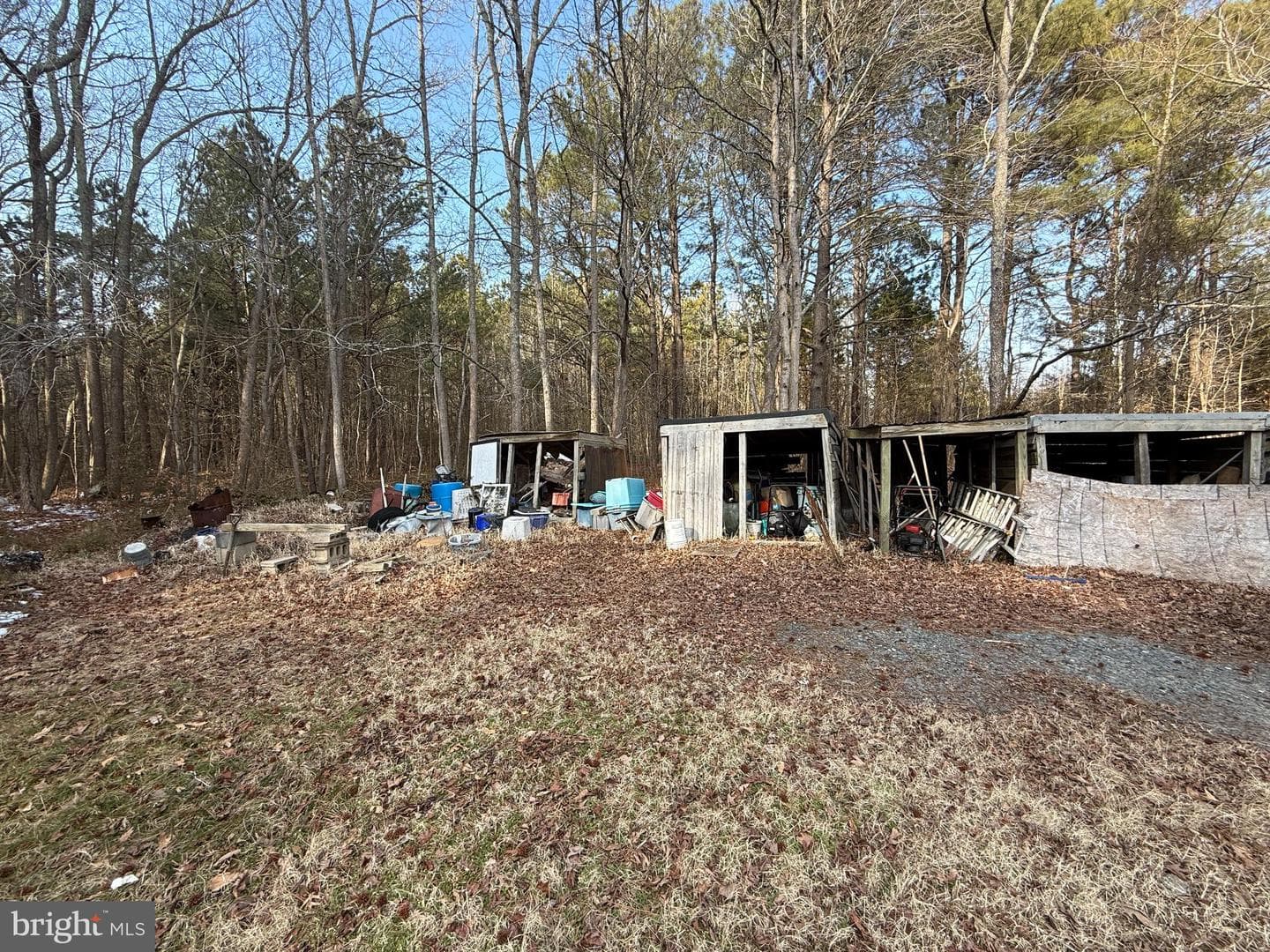 3516 Whitehaven Road photo 6