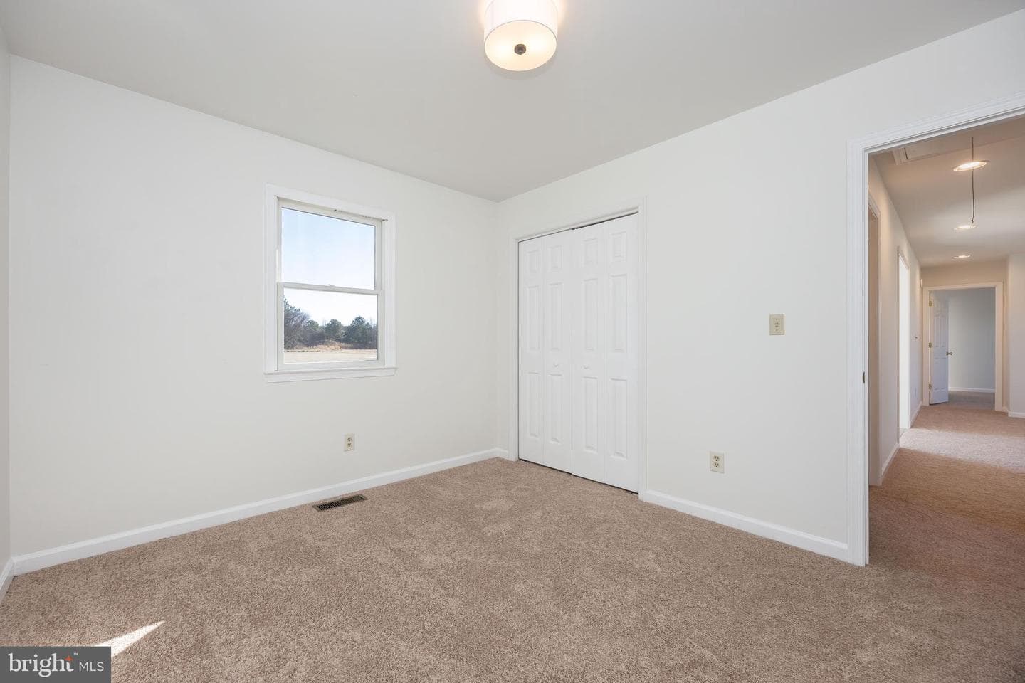 7937 White Lowe photo 18