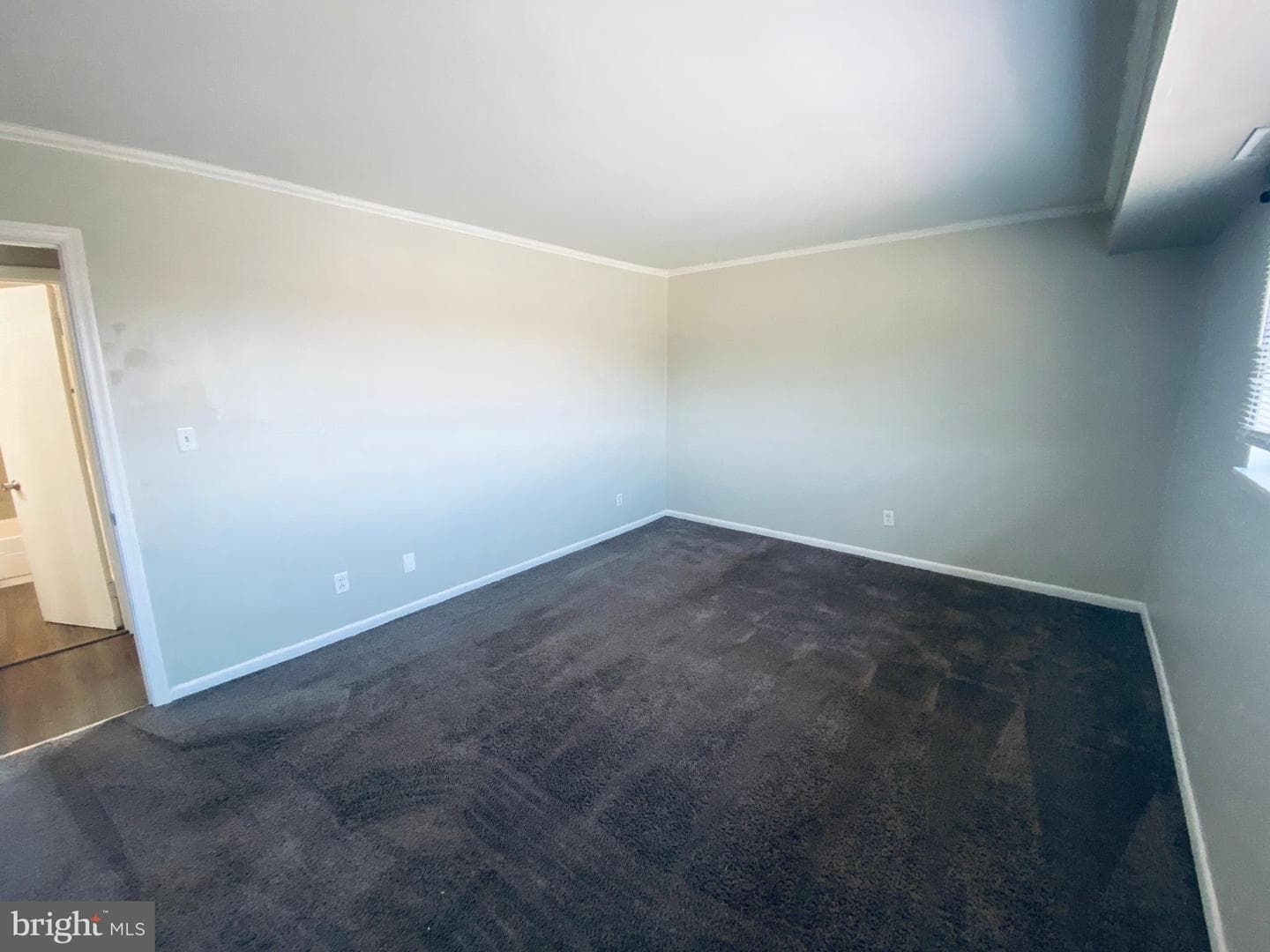 1028 Adams Avenue #3b photo 21