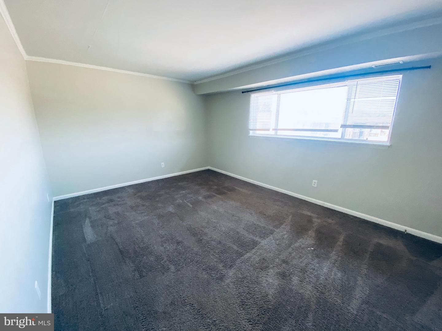 1028 Adams Avenue #3b photo 23