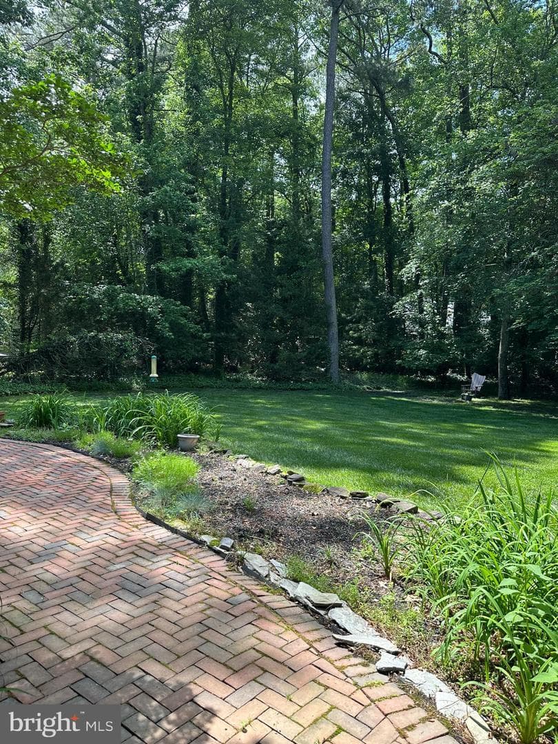 30058 Deer Harbour Drive photo 3