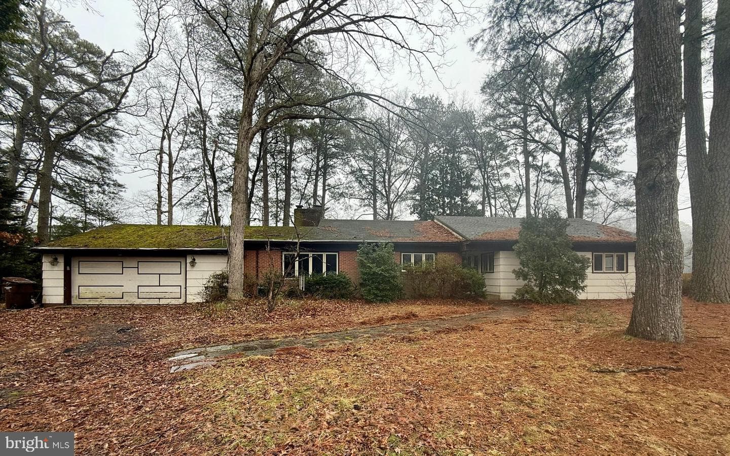 8539 Marlboro Drive photo 2
