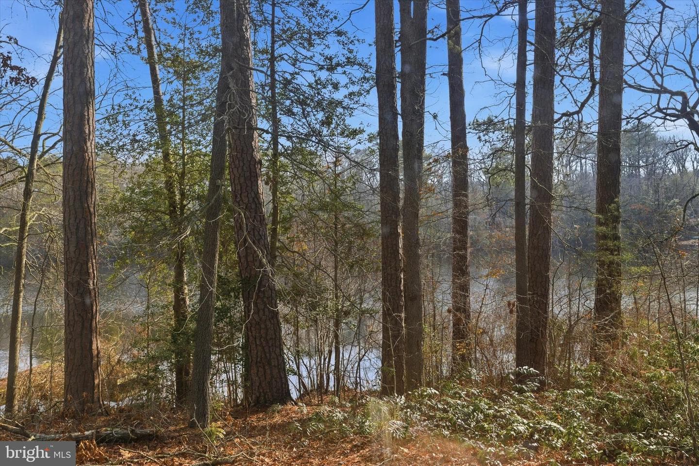 8539 Marlboro Drive photo 24