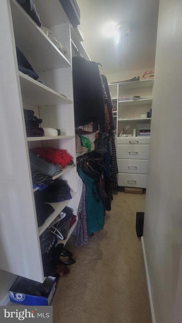 126 Paddock Drive photo 24