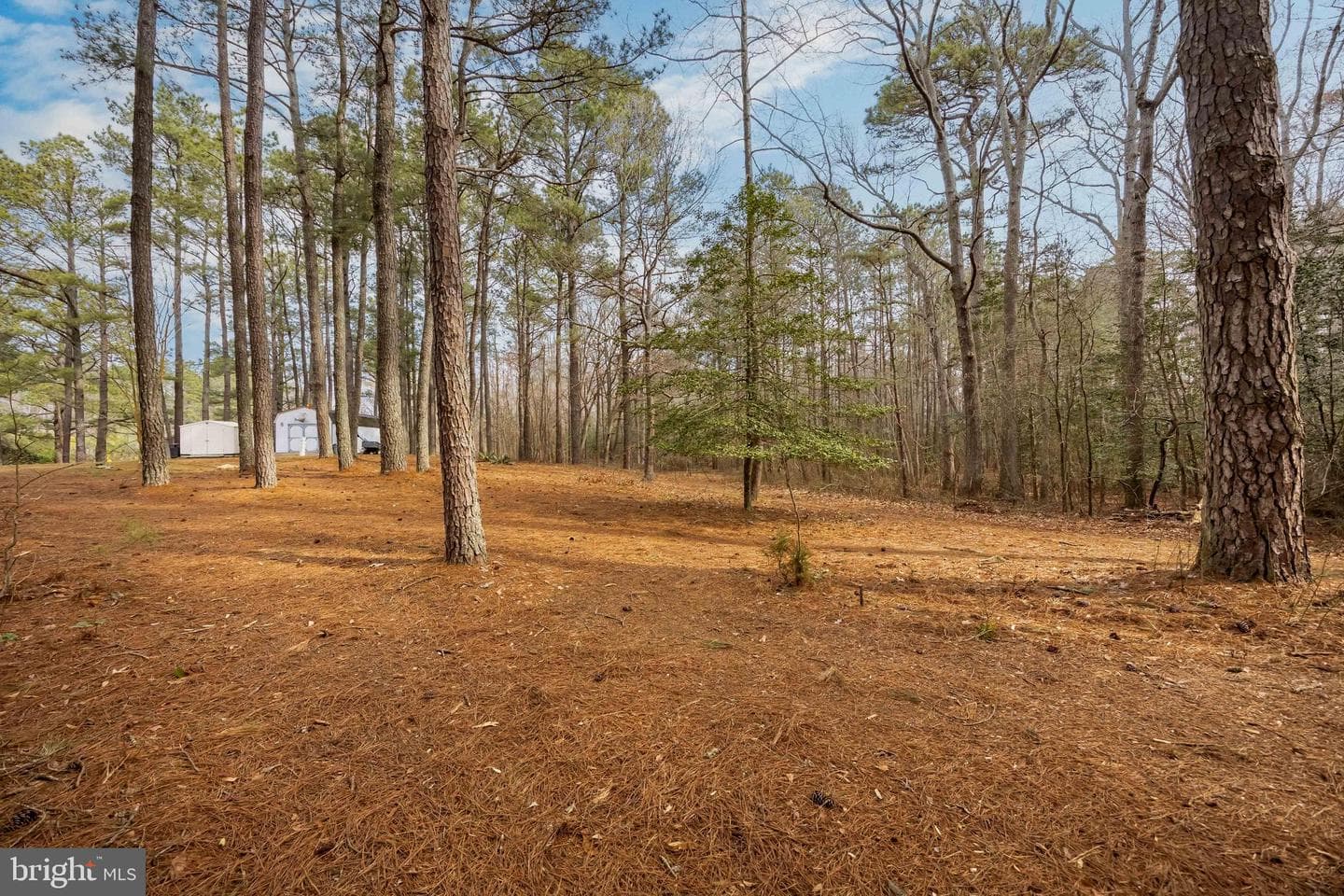 22139 Royal Oak Road photo 53