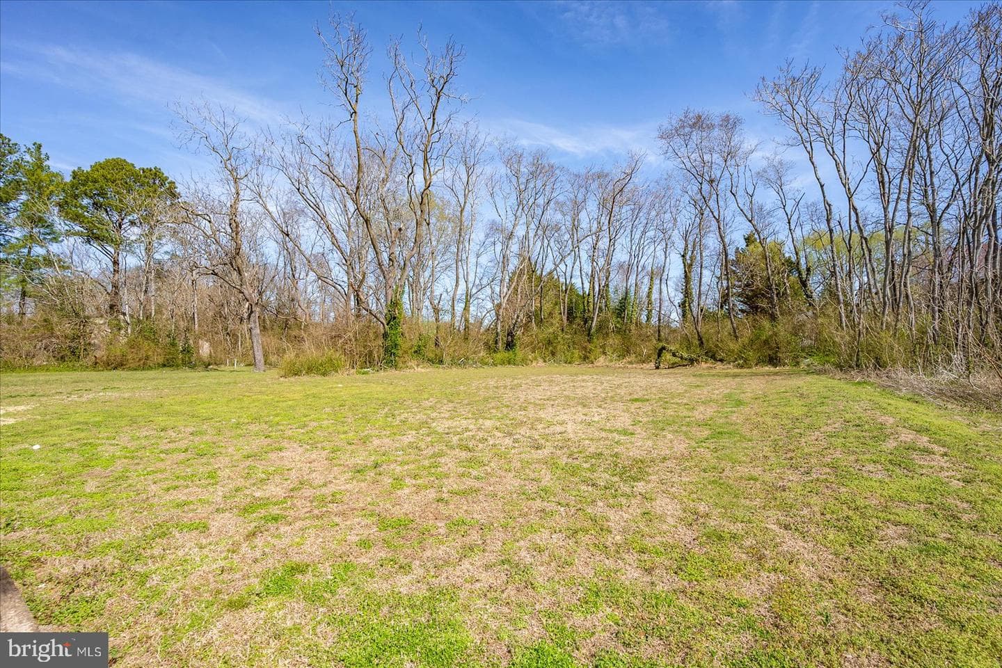 411 E Walnut Street photo 51