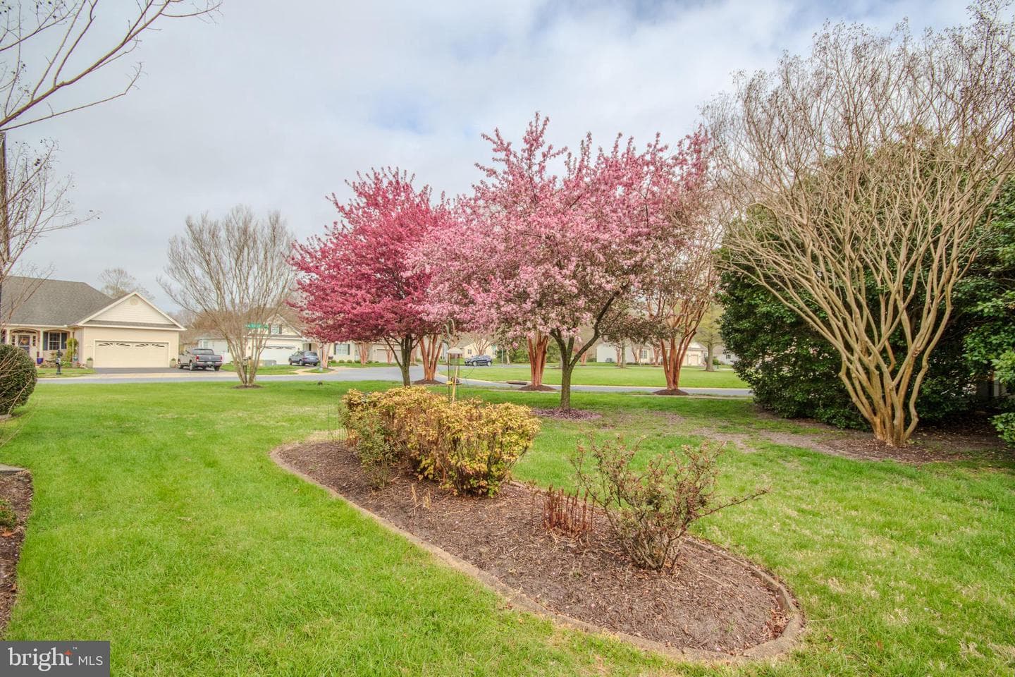 223 Creekside Drive photo 46